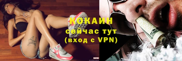 соль ск Алексин