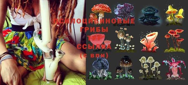 молекула духа Абаза