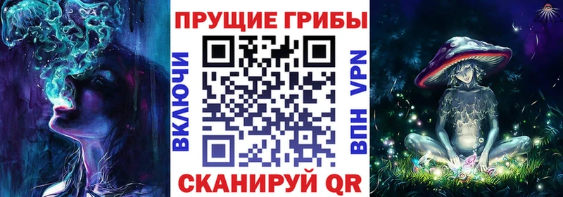 купить наркоту  mega рабочий сайт  Псилоцибиновые грибы ЛСД  Белореченск 